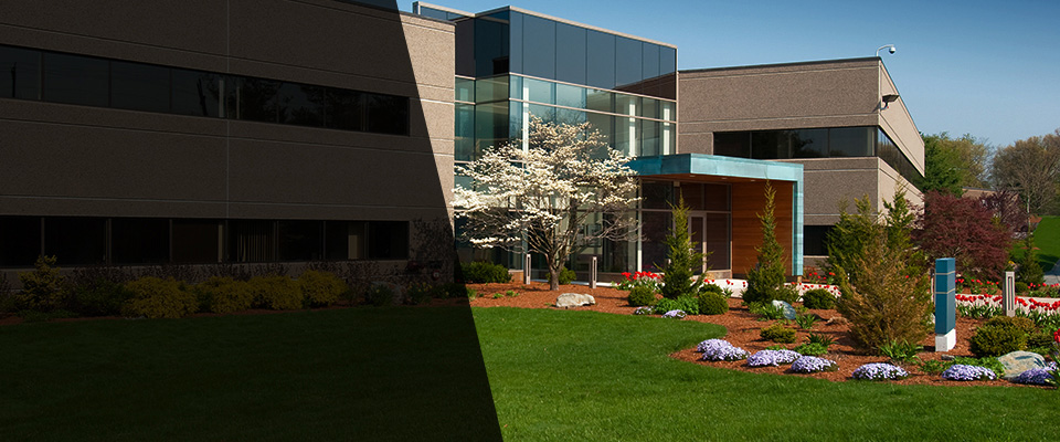 Pisgah Forest Landscapers